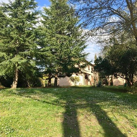 Agriturismo Bethsaid Fauglia Extérieur photo