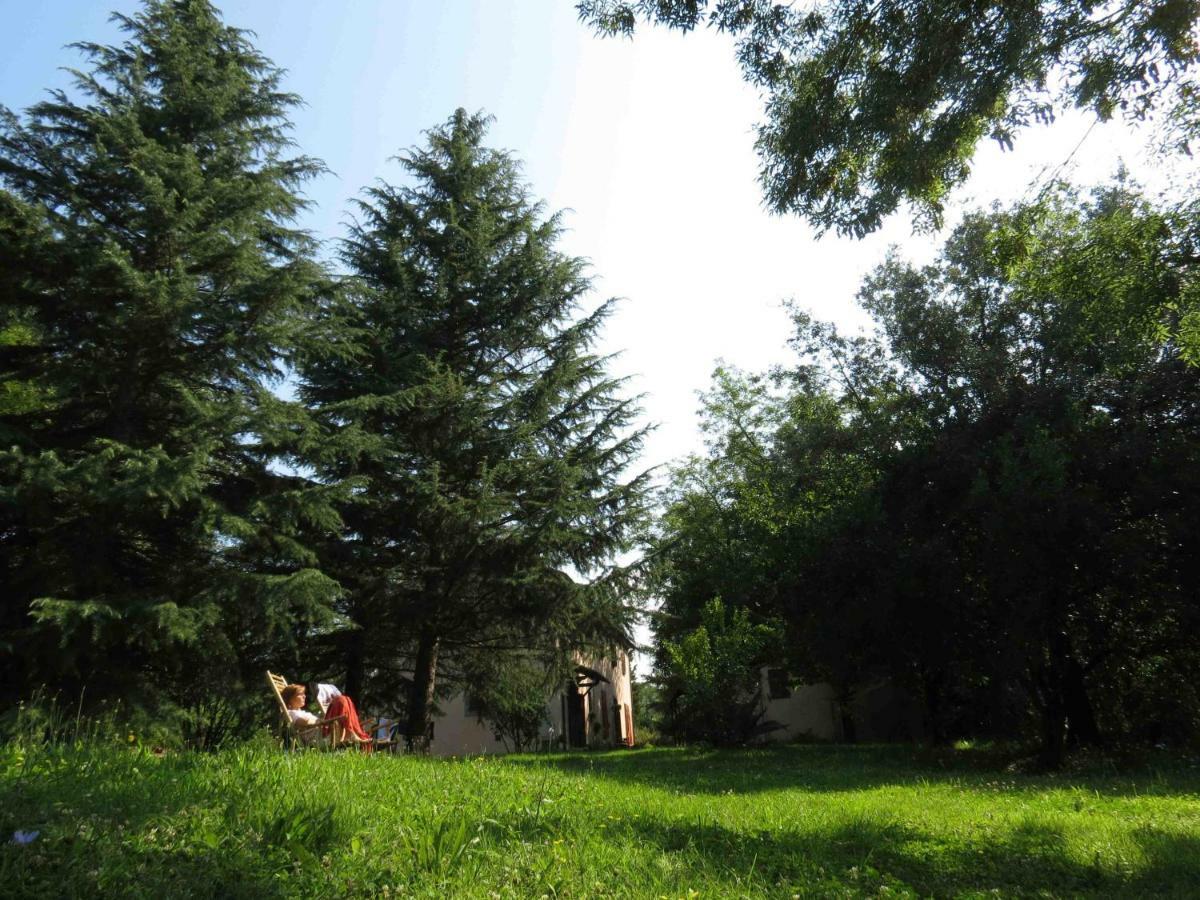 Agriturismo Bethsaid Fauglia Extérieur photo